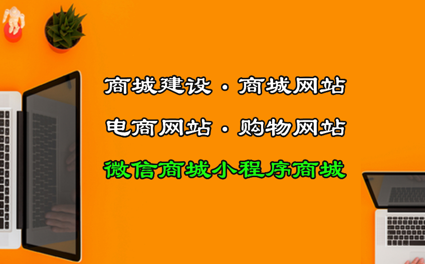 商城建設/商城網站/電商網站/購物網站/微信商城小程序商城